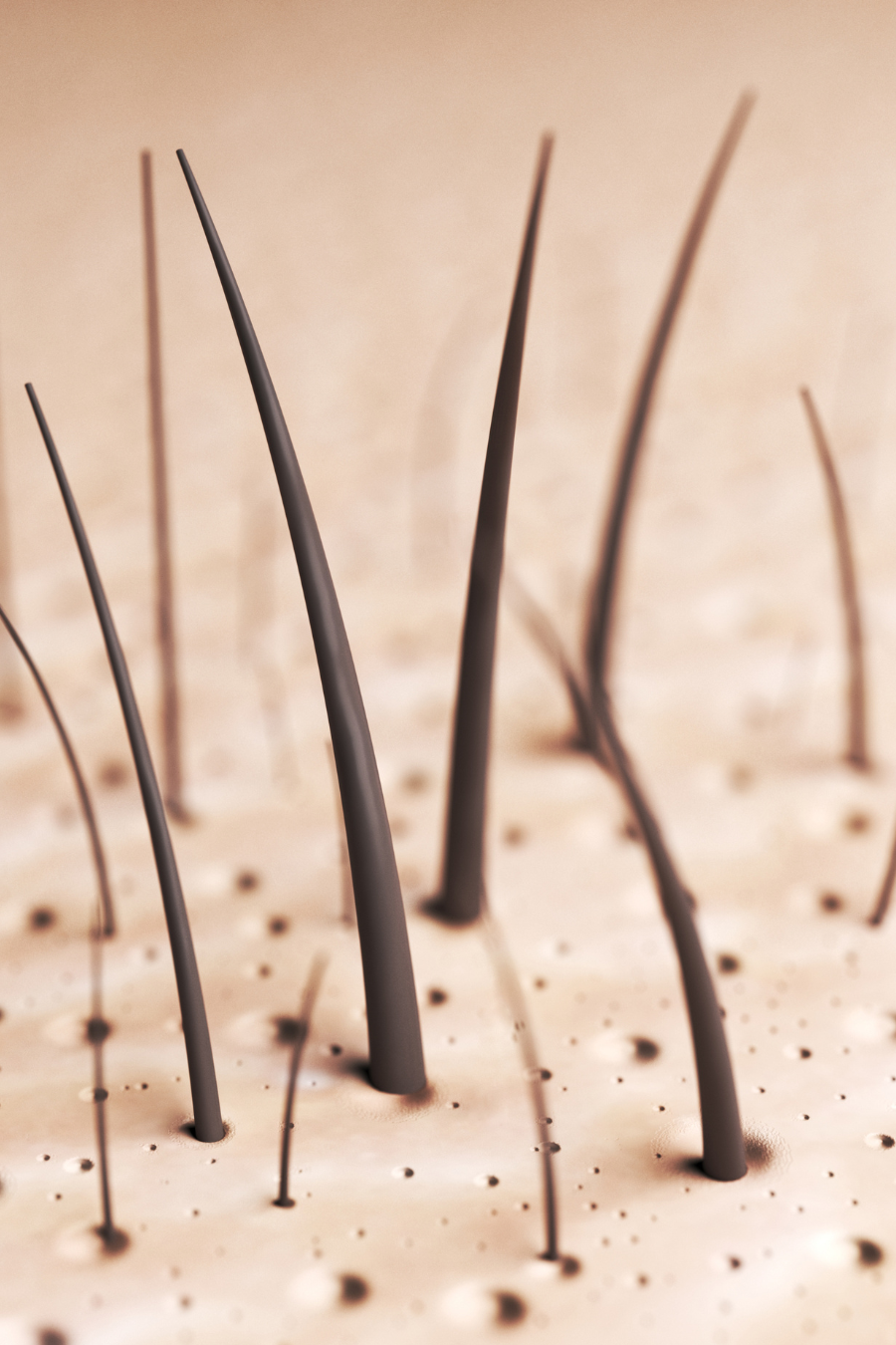 ENDERMOLOGIA SKÓRY GŁOWY ENDERMOLOGIA SKÓRY GŁOWY