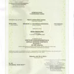 Certyfikat Marta Czerkawska - Burgs skin needling